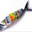 Another "Fish Friday" – Wrap It Up! Whoa! What a week. Lot’s going on and lot’s to discuss. It was a pretty interesting week in the worlds of social media, NetWorks! Boise / Sales Results LLC, and...