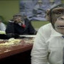 If We Were The Lowest Price, You Would Be A Trained Monkey For the majority of my career, I ran sales teams. I was constantly amused and perplexed by the statement that most, if not all, sales managers have heard over and...